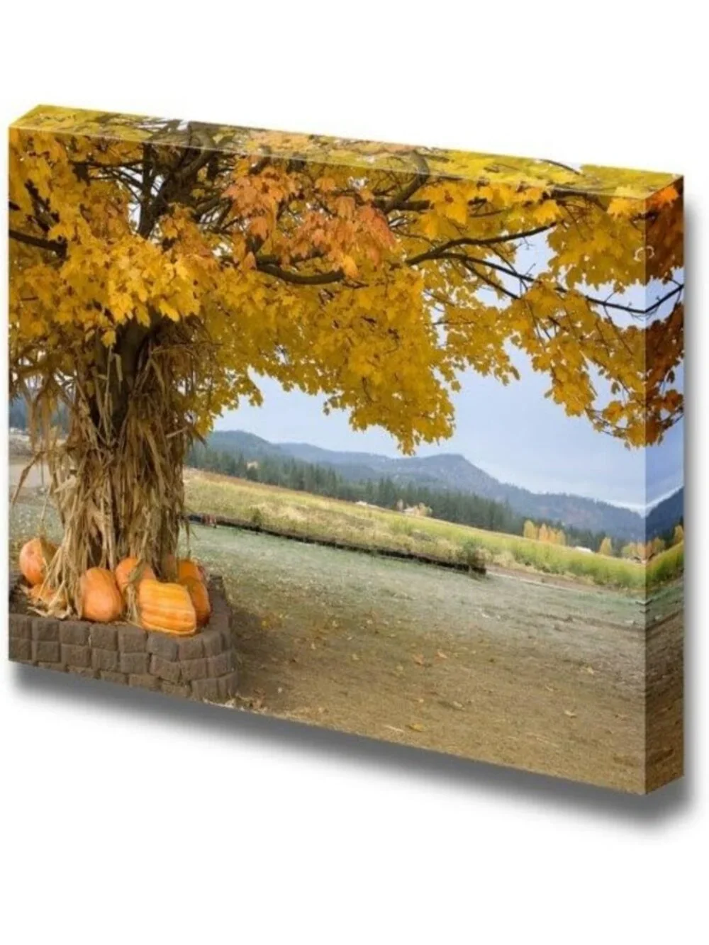 Autumn Canvas Wall Art - Pumpkins & Cornstalks Under Tree | Modern Home Decor